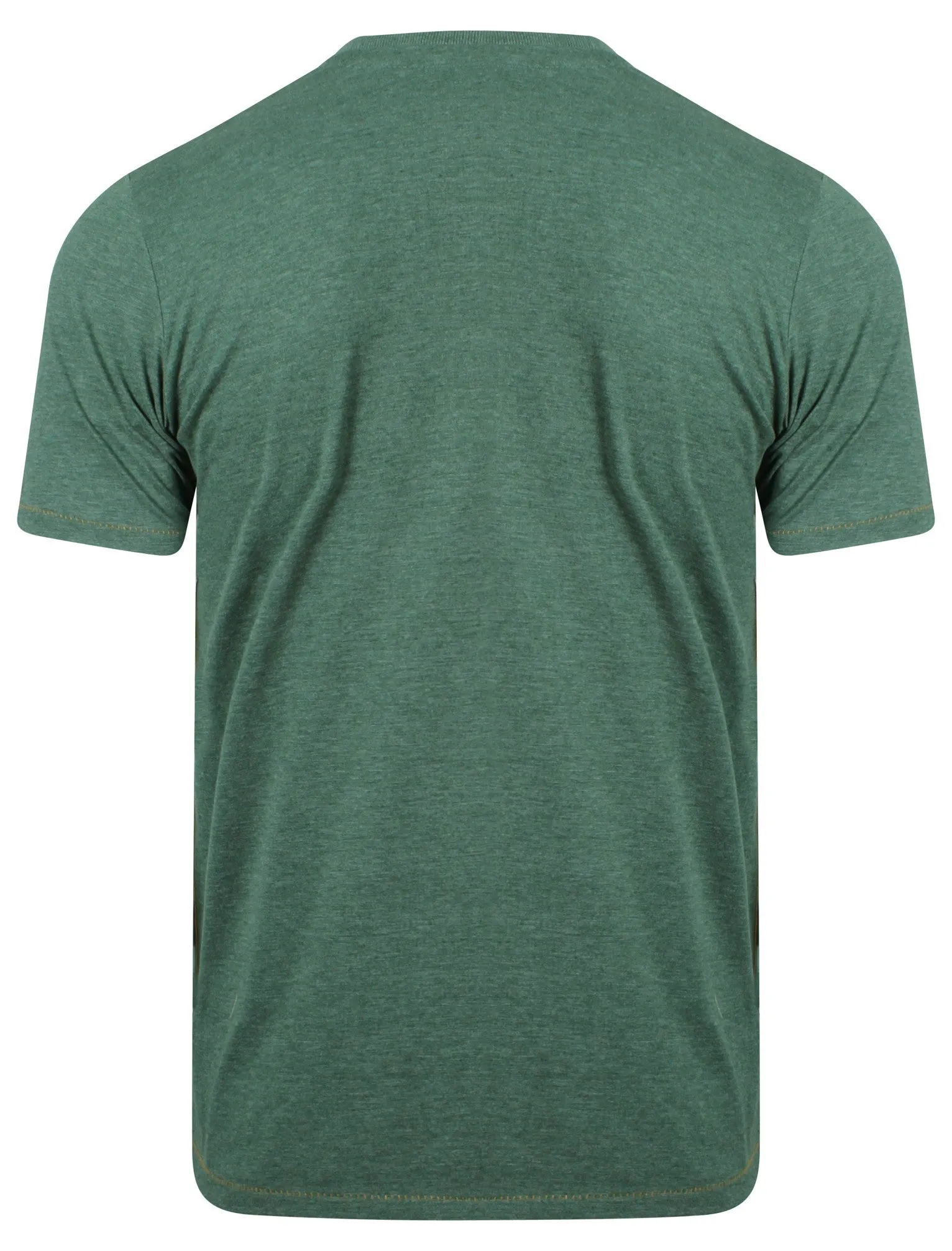Kobe Short Sleeve T-shirt in Mallard Green - Tokyo Laundry